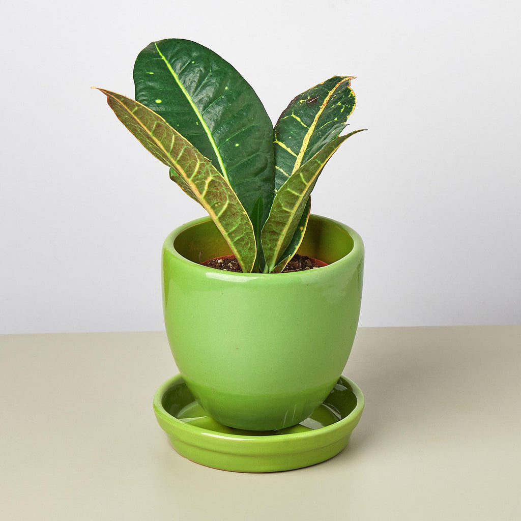 Liberty Bell Planter