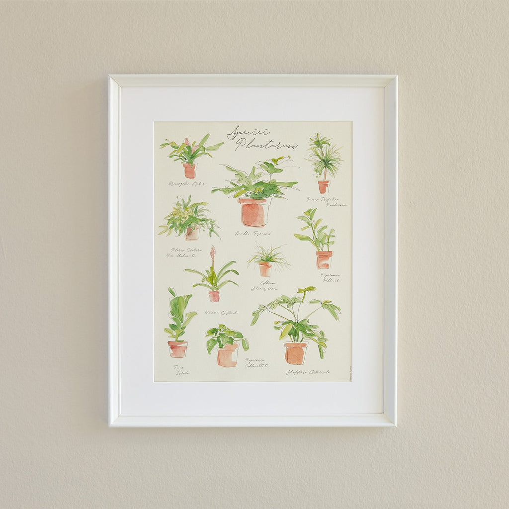 Plant Species Poster