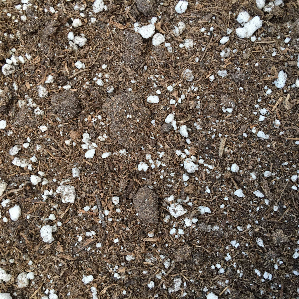 6" Starter Kit (Plugs)