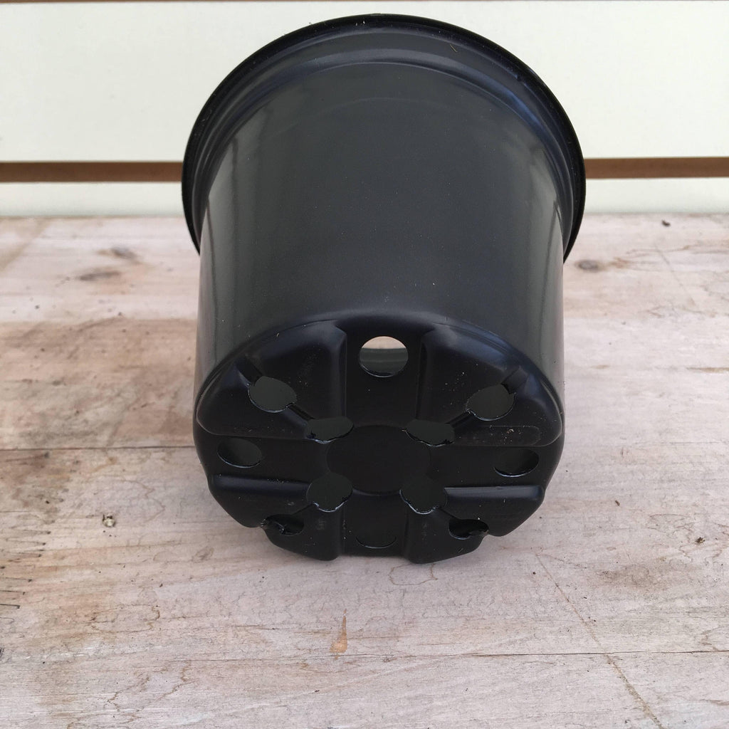 Starter Kit for 2 Large Plugs