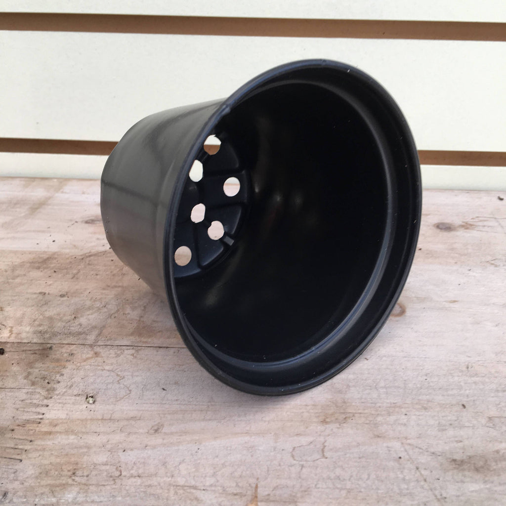 Starter Kit for Large Cuttings (2 Pots)