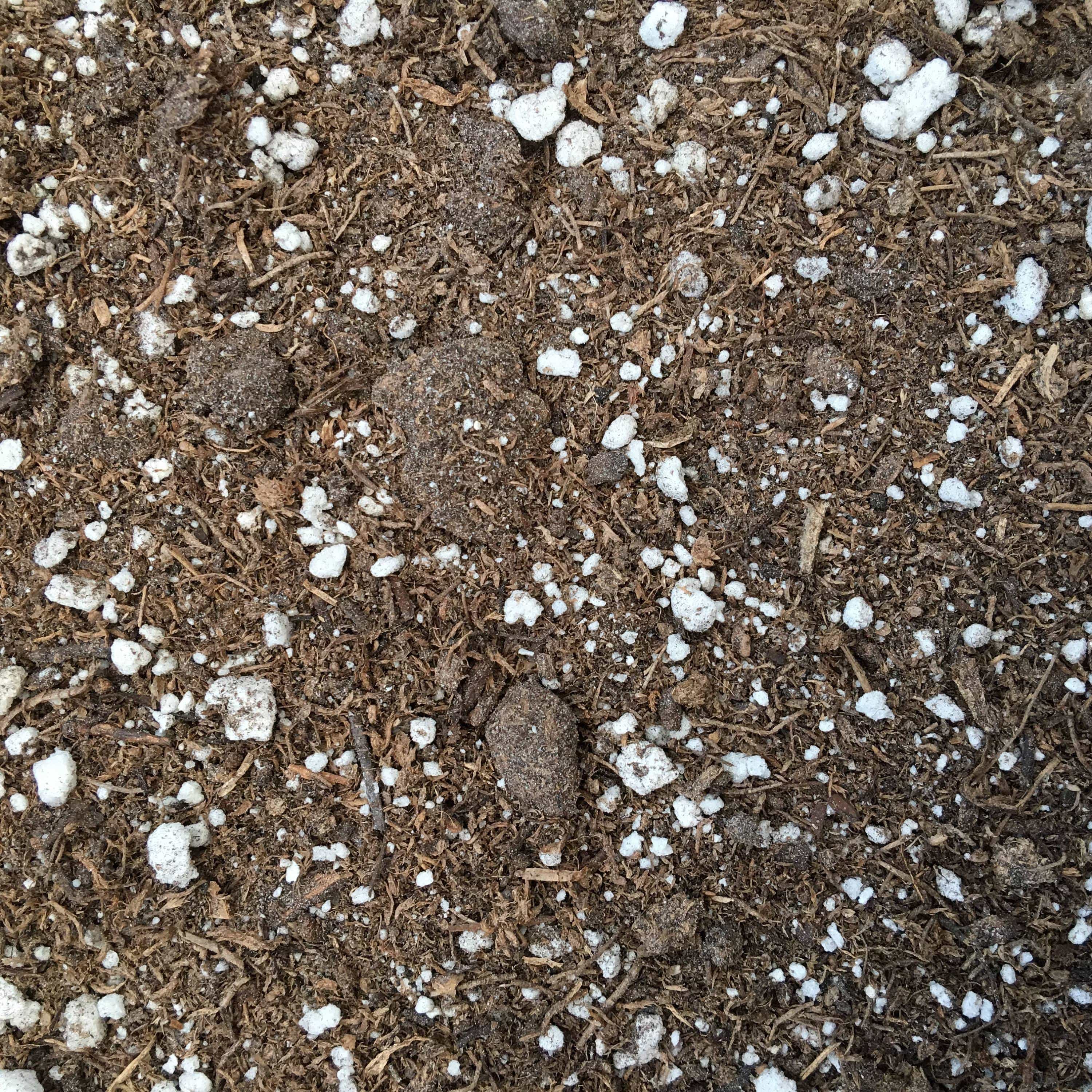 Starter Kit for Small Cuttings